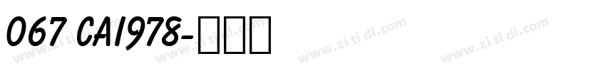 067 CAI978字体转换